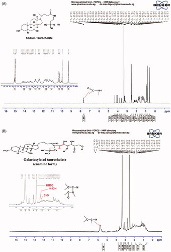 Figure 5. 1HNMR spectrum of Sodium taurocholate (A)and galactosylated taurocholate (B) in DMSO.