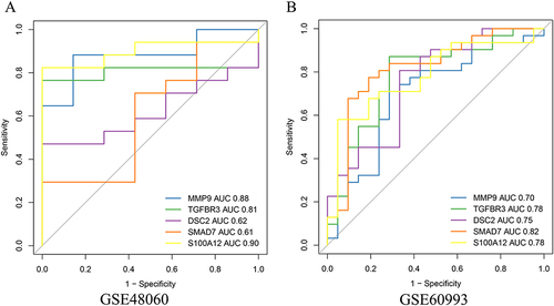 Figure 5 ROC Curve Evaluation and Expression Validation of Key Genes. (A) ROC curve analysis demonstrating the diagnostic capabilities of MMP9, TGFBR3, and S100A12 in the GSE48060 (training set) and GSE60993 (validation set) datasets. (B) Expression validation of MMP9, TGFBR3, and S100A12 in both datasets, showing significant upregulation of MMP9 and S100A12, and downregulation of TGFBR3 in the LDH group.