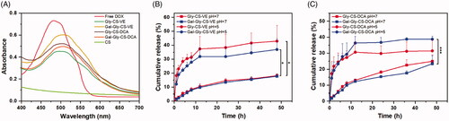 Figure 3. (A) UV-Vis absorption spectra of DOX solution, CS and DOX loaded chitosan nanoparticles. (B) In vitro release of DOX from Gly-CS-VE and Gal-Gly-CS-VE nanoparticles at pH 5 and 7. (C) In vitro release of DOX from Gly-CS-DCA and Gal-Gly-CS-DCA nanoparticles at pH 5 and 7, *p < 0.05, ***p < 0.001.