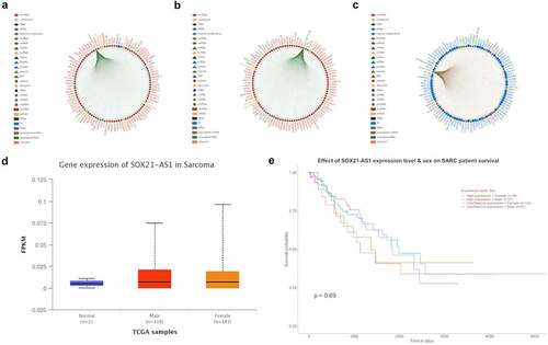 Figure 2. Highly expressed SOX21-AS1 significantly reduces the survival rate of SARC patients.