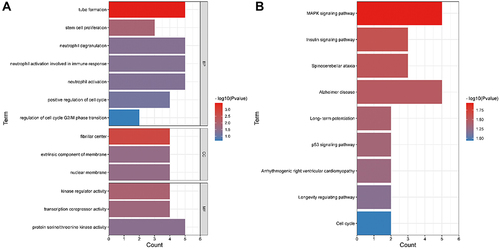 Figure 4 GO and KEGG analyses of 78 DEmRNAs. (A) GO analysis. (B) KEGG pathway analysis.