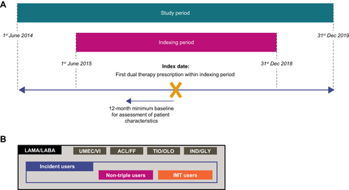 Figure 1 Study design (A)a and cohort structure (B) aData from the 12-month follow-up period were analyzed separately and are not reported in this manuscript. All data reported is therefore from the indexing period and prior baseline period.