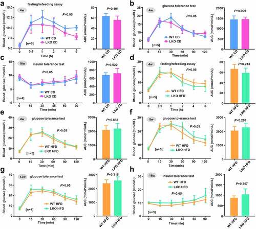 Figure 4. Effect of SND1 hepatocyte-specific deletion on glucose homeostasis of mice