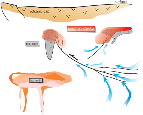 Figure 10. Conceptual model showing hot, oxidising Cu–Au fluids derived from large volumes of country rock and migrating along shear zones. Batholiths at depth may be involved in heat transfer, but they are not necessary. Host stocks contrast rheologically with their surrounds but are not necessarily of porphyritic texture. The stocks have solidified by the time the infiltrating fluids have caused fracturing and metal precipitation.