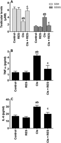 Figure 3. Levels of reduced glutathione (GSH), glutathione disulfide (GSSG) (A), tumor necrosis factor-α (TNF-α) (B) and interleukin-6 (IL-6) (C) in the testis homogenates of all groups of rats. Levels of GSH and GSSG were measured by colorimetric-based kits were as levels of TNF-α and interleukin-6 (IL-6) were measured by ELISA. Values are expressed as Mean ± SD for 6 rats in each group. Values were considered significantly different at p < 0.05. aSignificantly different when compared to the control group, bsignificantly different when compared to resveratrol (RES)-treated group and csignificantly when compared to cisplatin (Cis)-treated group.