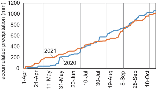 Figure 2. Accumulated precipitation during the target period in 2020 and 2021. The average values of three stations—Nam Phong, ubonrat, and Khaosuang Kwang—are provided. The vertical lines indicate the dates of PALSAR-2 observations in 2020.