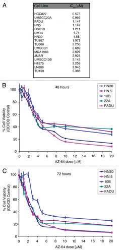 Figure 2 AZ64 profoundly inhibits cellular proliferation in HNSCC. (A) IC50 results for depicted HNSCC cell lines after exposure to AZ64. (B and C) Dose-dependent effects of AZ64 on cellular viability in representative HNSCC cell lines by the MTT assay at 48 hours (C) and 72 hours (C). Data were normalized to control (untreated group) and analyzed with ANOVA and Tukey's Multiple Comparison Tests. p values represent cell viability across each concentration in comparison to results at 24 hours. Data is representative of three independent experiments, with eight replicated for each concentration.