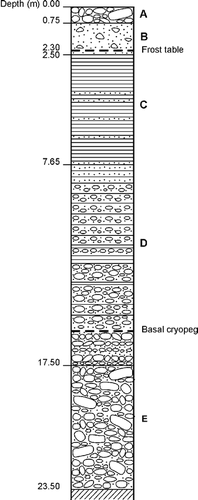 FIGURE 3. Stratigraphy of the borehole: (a) landslide deposit; (b) ablation till (Holocene); (c) massive ice body; (d) alternation of ice layers and ice-cemented debris flows sediments; (e) unfrozen ablation till (?). The bottom of the borehole is of phyllitic bedrock