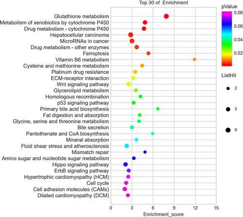 Figure 5. Pathway analysis for differentially expressed mRNAs. The top 30 most enriched pathways based on the KEGG pathway analysis.