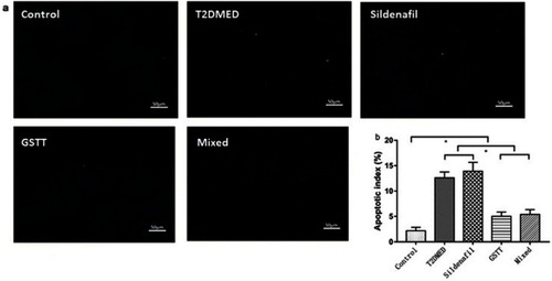 Figure 9 Comparison of apoptotic index in the corpus cavernosum of each group.