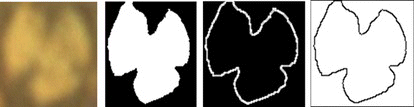 Figure 7 Skeletonization treatment scheme (color figure available online).