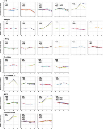 Figure 7. Comparative analysis of the expression patterns of responsive miRNAs in each analysed stress condition. Clustering analysis of time-course expression profiling of responsive miRNAs in each one of the biotic and abiotic stress condition evaluated in this work. Error bars indicate standard error between replicates.