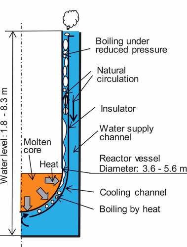 Figure 1. Schematic drawing of natural circulation under IVR conditions.