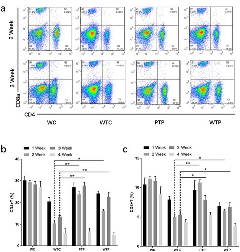 Figure 4. The levels of CD4+ T cells and CD8+ T cells from tumor-bearing mice treated with or without WEPA. (a) shows the representative flow cytometry plots of CD4+ T cells and CD8+ T cells; (b) and (c) show the levels of CD4+ T cells and CD8+ T cells under different treatments, respectively. Error bars represent means ± standard deviations (n = 10), *P < 0.05, **P < 0.01.