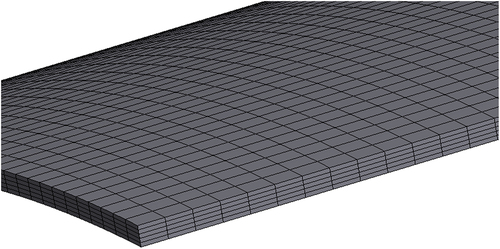 Figure 7. Fine mesh used for simulations.