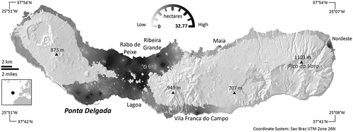 Figure 2. São Miguel’s land development pressure during the 1990–2006 period.