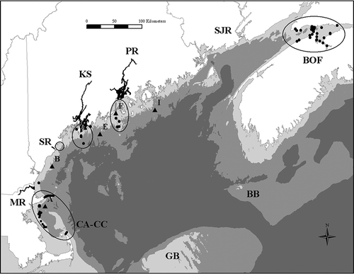 FIGURE 1. Map of the Gulf of Maine, showing the locations of the four study rivers: the Penobscot River (PR), the Kennebec system (KS; includes the Kennebec, Androscoggin, and Sheepscot rivers), the Saco River (SR), and the Merrimack River (MR). Coastal areas (circled) where Atlantic Sturgeon were concentrated include the Bay of Fundy–Minas Basin area (BOF), offshore of PR, offshore of the Kennebec River, the Saco Bay–Scarborough River area, and the Massachusetts coast from Cape Ann to Cape Cod (CA–CC). Also shown are the locations of receiver arrays (circles), UMOOS buoys (triangles), the Saint John River (SJR), Georges Bank (GB), and Browns Bank (BB). Water depth is indicated by shading: 0–100 m (light gray), 100–200 m (medium gray), and over 200 m (dark gray).