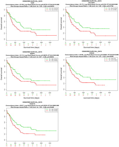 Figure 8. Prognostic analyses of hub genes (TLR8, SLC15A3, ADAP2, HOXA6 and HOXA10) in the LAML - TCGA - AML dataset based on SurvExpress (n = 149). Kaplan–Meier survival analysis of AML based on the expression of the hub genes. ‘+’ in the right upper panel represents censored samples. The CI and p value of the log-rank test are shown in the figure. Red and green lines indicate the high- and low-risk groups, respectively. The numbers below the x-axis show the death events of individuals over time.