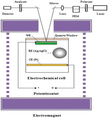 Figure 3. Schematic illustration (top view) of the in situ experimental setup that consists of a MOKE apparatus, a potentiostat, and a three-electrode electrochemical cell.