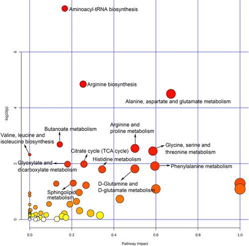 Figure 2 Overview of pathway analysis of PE.