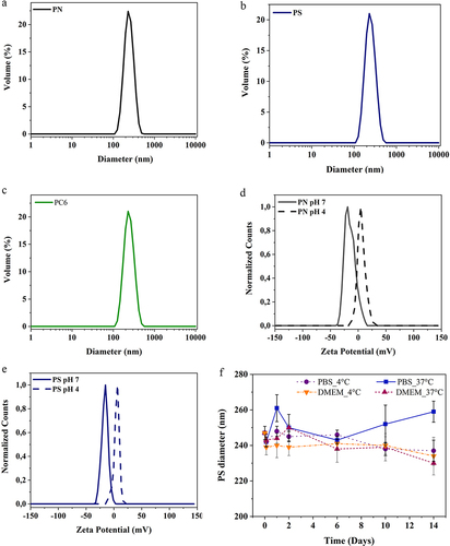 Figure 3 PLGA particles analysis by DLS: (a) PN, (b) PS, (c) PC6 Particle diameter measurements; (d) PN, (e) PS surface charge quantification and (f) PS stability in DMEM and PBS at different temperatures and over time.