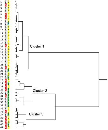 Figure 1 Dendrogram of cluster analysis of patients with vernal keratoconjunctivitis (VKC). Each of the 41 patients with VKC are displayed. The dendrogram was generated using the Ward method. Each case was given two codes according to the presence or absence of the complication of AD ((A); AD+ (red), (B); AD- (gray)) and the age at onset of VKC ((C); ≤ 8 years old (green), (D); > 8 years old (yellow)). The dendrogram depicts the levels of the hierarchical clusters.