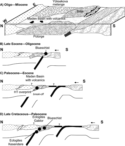 Figure 9. Sketch of cross sections for Eastern Anatolia from Late Cretaceous to Oligo–Miocene. (A) Late Cretaceous–Paleocene: the northern part of the Bistun (?) bock is in subduction, recording different stages of eclogite (Kesandere, Gablor) and blueschist facies (metasedimentary cover) in the Bitlis complex while the southern Pütürge complex remains unaffected. (B) Paleocene–Eocene: slab break off of the Bitlis subduction lithosphere leads to barrovian HT overprint of the eclogites and arc volcanism in the Maden complex. (C) Late Eocene–Oligocene: on going subduction south of the Bitlis–Pütürge complex produced glaucophane in the Urse Formation. (D) Oligo–Miocene: oblique Tethyan (clockwise) exhumation led to the juxtaposition of the Pütürge complex without HP to the west and the HP Bitlis complex to the east. The Maden complex, overlying the Pütürge basement conformably, separates the two parts of the Bistun (?) block while it is tectonically imbricated in the southern front of the Bitlis complex.