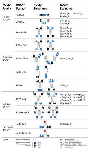 Figure 3. ROCK® platform overview.