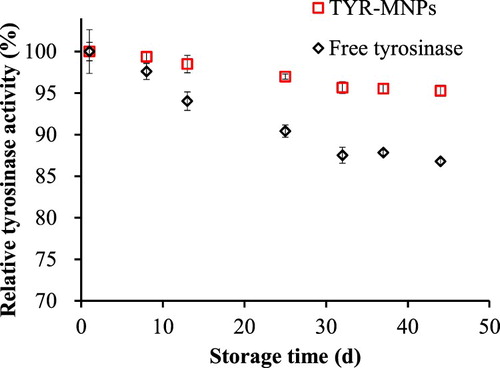 Figure 2. Tyrosinase stability during storage at 4°C.