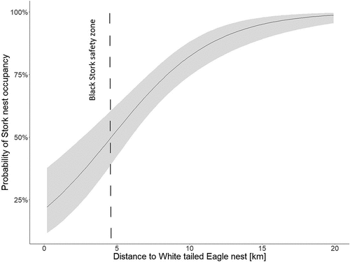Figure 6. Impact of distance to the white-tailed eagle’s nest on the black stork’s nest occupancy.