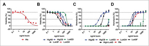 Figure 2. In vitro potency of recombinant S. aureus toxins. Cytolytic activity of indicated toxins was measured using (A): A549 cells, (B): human PMNs, (C): human RBCs or (D): rabbit RBCs in the indicated concentration range. Error bars indicate mean +/− SEM, n = 2.