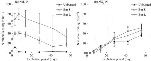 Figure 4 The amounts of (a) ammonium nitrogen (NH4-N) and (b) nitrate nitrogen (NO3-N) at a depth of 0–15 cm during the incubation experiment. Samples from unburned and spots burned with small trees (Bur S) were collected in October 2008 and samples from spots burned with piles of large trees (Bur L) were collected in October 2009. Bars indicate standard error (n = 3).