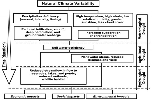 Figure 1. The occurrence of different types of droughts and their effects on the ecosystem.