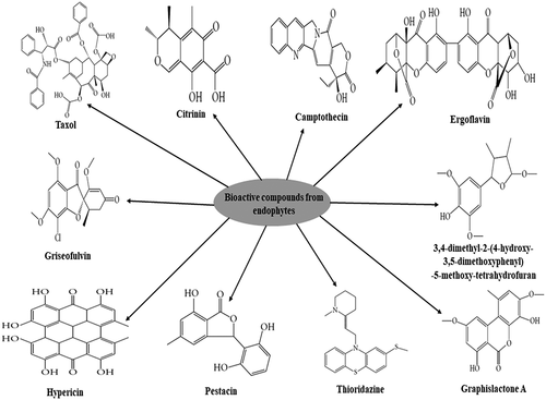 Figure 1. Structural representation of some bioactive compounds produced by fungal endophytes