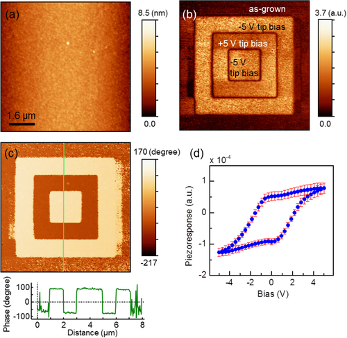 Figure 7. (a) Atomic force microscopy topography and piezoresponse force microscopy (b) amplitude and (c) phase images for 17 nm thick BaTiO3/SrTiO3 (∼4 nm) on Si substrate, poled with −5 V, +5 V, and −5 V over 6 μm, 4 μm, and 2 μm regions, respectively. The images were collected over 8 × 8 μm2 areas. The bottom panel in (c) shows the line profile of phase signals, exhibiting clear phase difference of ∼180 degrees. (d) Piezoresponse hysteresis loop averaged over 10 × 10 points within 4 × 4 μm2 area. Error bars represent the dispersion of the signal measured at different locations on the sample surface.