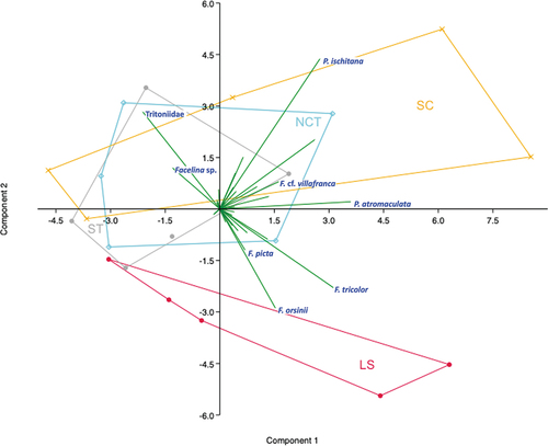 Figure 6. PCA analysis of the species composition and frequency dataset (based on the number of specimens per 100 dives) of the heterobranch assemblages of the four main considered macro-areas (red, Ligurian Sea; blue, north-central Tyrrhenian Sea; grey, southern Tyrrhenian Sea; Orange, Sicily Channel) at all depth ranges (from right to left on C1 axis).