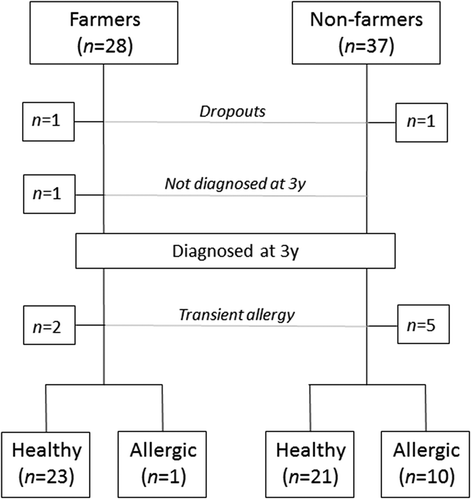 Figure 1. Flow chart of subjects eligible for analysis between healthy children and children allergic at 3 years of age. One farm and one non-farm family withdrew from the study due to personal reasons or change of residence. One farm child was not diagnosed at 3 years of age and two farm children and five non-farm children were diagnosed as allergic at 1.5 years of age but not at 3 years of age (transient allergy); hence, these children were neither included in the healthy nor the allergic group.