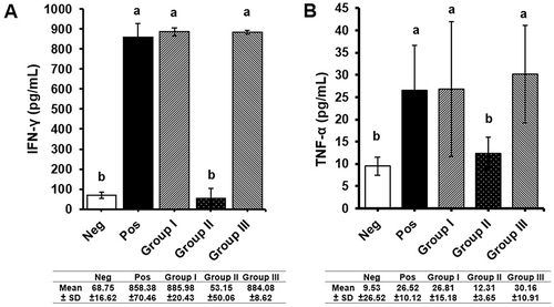 Figure 4 Measurement of pro-inflammatory cytokines (A) IFN-γ (B) TNF-α levels. Negative control and B. longum treatment groups had lower level of pro-inflammatory cytokines compared to positive control and other treatment groups. All values are expressed as mean ± SD. Different letters/notations represent statistically significant differences (p < 0.05).