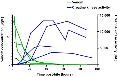 Figure 1. Plots of venom concentration (blue) and creatine kinase activity (green) versus time in four patients with myotoxicity from red-bellied black snake envenomation.