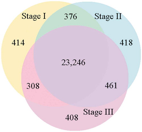 Figure 3. Venn diagram showing the number of shared and unique genes expressed in the three developmental sections of the root (expression threshold, RPKM > 1.0) .