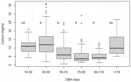 Figure 2. Boxplot (with quartiles and median) of carbon (Mg/ha) variation per plot between DBH classes. Letters represents statistical differences between DBH classes from ANOVA.
