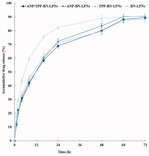 Figure 2. In vitro BN release from LPNs analyzed by dialysis method.