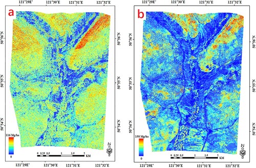 Figure 9. Forest AGB mapped by MLSR algorithms and forest AGB product from LiDAR. (a) Forest AGB mapped by MLSR; (b) Forest AGB product from LiDAR.