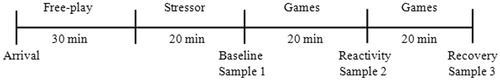 Figure 1. Upon arrival, the mother and child engaged in a free play to familiarize the child with the lab before the stressor. The first saliva sample was collected after the stress paradigm which took 20 min, reflecting salivary cortisol baseline levels before the stressor. The second sample was collected 20 min after the first collection, indicating peak salivary cortisol levels immediately following the stressor. The third sample was collected 40 min after the first collection, indicating children’s salivary cortisol levels after the stressor.
