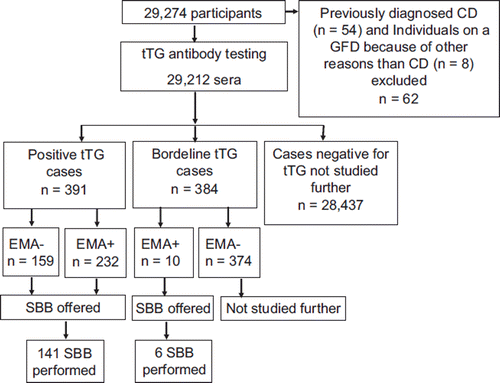 Figure 1. Study design. tTG = tissue transglutaminase; CD = celiac disease; GFD = gluten-free diet; EMA = endomysial antibodies; SBB = small-bowel biopsy.