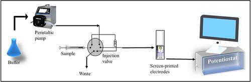 Figure 6 Schematic representation of the simple flow injection analysis system for electrochemical detection.