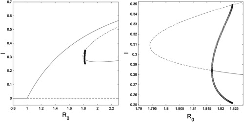 Figure 6. On the left is an R0 bifurcation diagram for system (Equation10(10) I˙=βh(A)(1−I)I−γI,A˙=αI(1−A)A2δ2+A2−ξA.(10) ) with δ=0.55 and Rb=7, which is in (Rb2,Rb3). On the right is a close-up of the region where limit cycles occur. Solid curves are stable fixed points, dashed curves are unstable fixed points, and open circles are the minimum and maximum values of an unstable limit cycle. Figure created with MATLAB and XPPAUT.