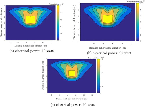 Figure 4. Steady state metal vapor concentration profile (inhibited nucleation conditions) inside the chamber.