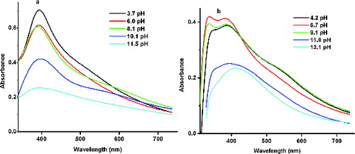 Figure 5. UV/Vis absorption spectra at different pH for the His–Ag colloidal solution prepared using (a) magnetic stirrer and (b) ultrasonicator.