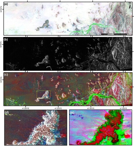 Figure 10. (a) A subset of OLI; (b) ALOS/PALSAR data; (c) Fused ALOS/PALSAR/OLI data; (d) Subset of fused ALOS/PALSAR/OLI data; (e) PCA 321 in R, G, and B.
